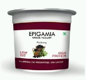 Epigamia Mulberry Greek Yogurt