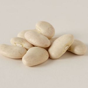 white bean