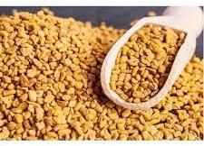 Organic Natural Fenugreek Seeds, Packaging Size : 10kg, 25kg, 50kg, 5kg