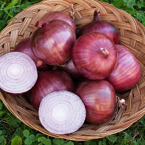 red onion