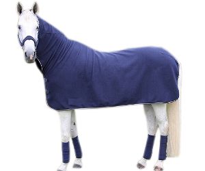 economic neck Horse rug