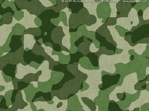 School Uniform Fabric