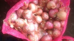 indian onions