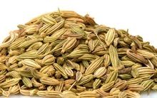 Medicinal Quality Dry Fennel Seed