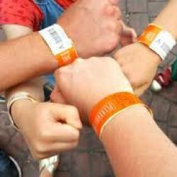 Amusement Wristband