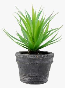 Green Succulent Artificial Plant