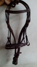 Brown Bridle with stones