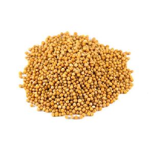 Dried Mustard Seeds