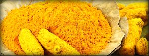 haldi powder