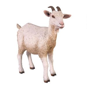 Animal Goat Statue