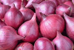 Fresh Natural Onion