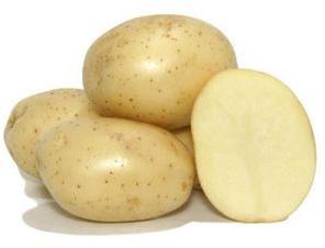 Fresh Badshah Potato