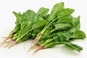 Green Spinach Leaves
