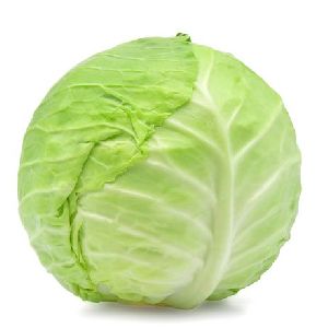 Natrual Cabbage