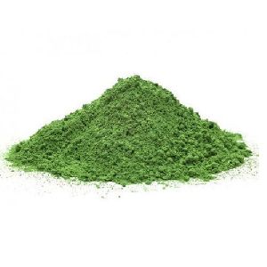 moringa leaves powder