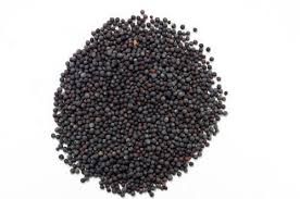 black mustard seeds