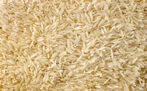 basmati paddy rice