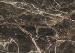 Breccia Paradiso Marble