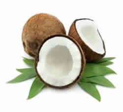 coconut