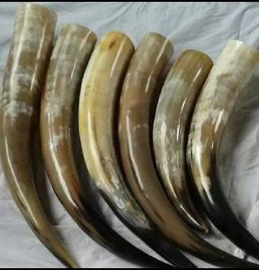 Buffalo Horn Plates