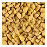 fenugreek seeds