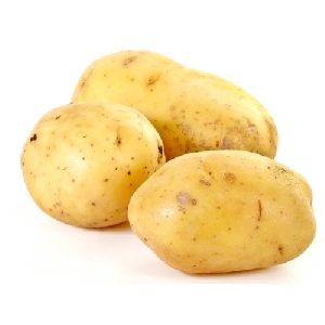 Fresh Brown Potato