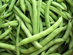 Fresh Long Green Beans