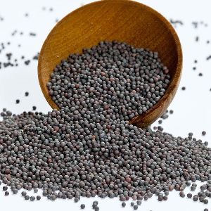 Indian Black Mustard Seeds