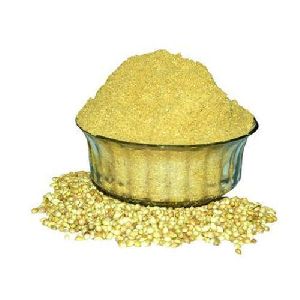 Pure Coriander Powder