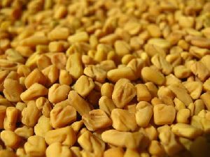 Whole Fenugreek Seeds