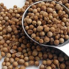 coriander seeds