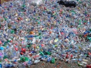 PET Bottles Scrap