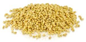fenugreek seed