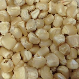 Hybrid White Corn Seeds