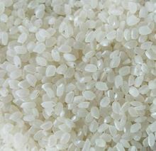 Japonica Rice