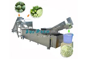Cabbage Washing and Dicing Production Machine