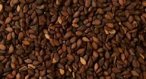 sesame seed brown