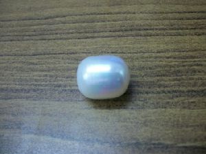 sea pearl