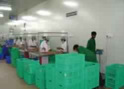 Pre Cooler Pack House