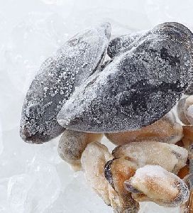 Frozen Mussels