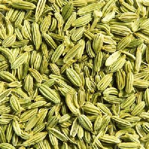 fennel seed