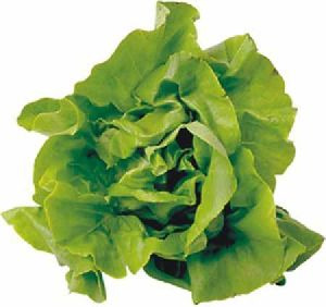 Leafy Vegetables