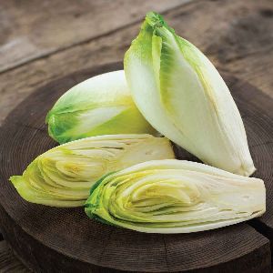 Endive Seeds