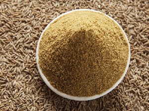 Dried Cumin Powder