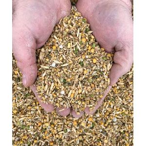 Layer Pellet Poultry Feed