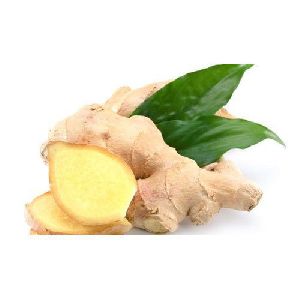 Fresh Natural Ginger