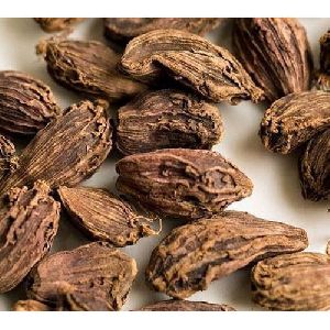 black cardamom