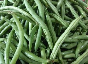 Fresh Green Cluster Beans