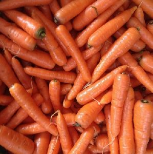 Fresh Natural Carrot