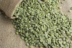 Arabic Coffee and Robusta coffee beans